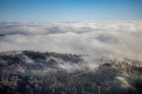Aerial view, sea of clouds over forest area, Bödefeld, Schmallenberg, Sauerland, North