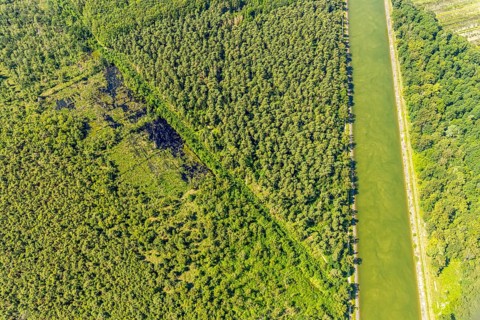 Aerial view, Venner Moor nature reserve, Dortmund-Ems canal, forest damage, Senden, Münsterland,