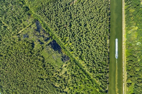 Aerial photograph, forest damage, Venner Moor nature reserve, ship on the Dortmund-Ems Canal,