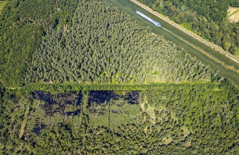 Aerial photograph, forest damage, Venner Moor nature reserve, ship on the Dortmund-Ems Canal,