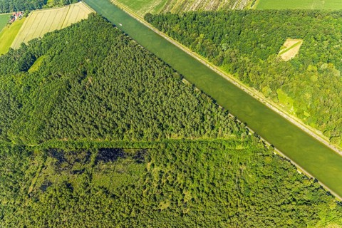 Aerial view, Venner Moor nature reserve, Dortmund-Ems canal, forest damage, Senden, Münsterland,