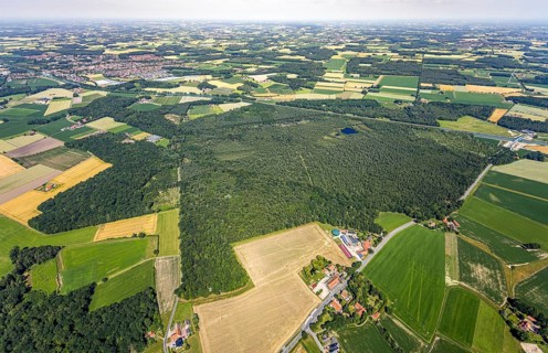 Aerial view, Venner Moor nature reserve, Dortmund-Ems canal, local view, Senden, Münsterland, North