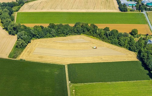 Aerial photo, harvest, combine harvester, hedgerows, grain harvest, paradises, Soest, Soester
