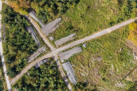 Aerial view, cleared forest areas, Waldemei, Menden, Sauerland, Märkischer Kreis, North