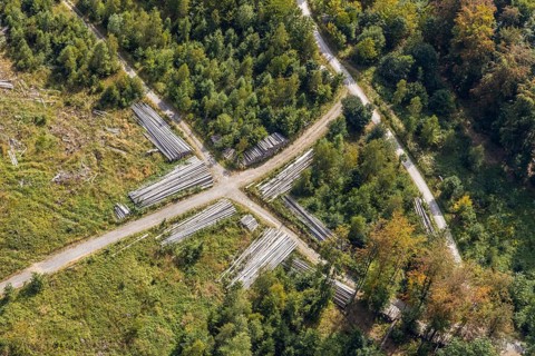 Aerial view, cleared forest areas, Waldemei, Menden, Sauerland, Märkischer Kreis, North