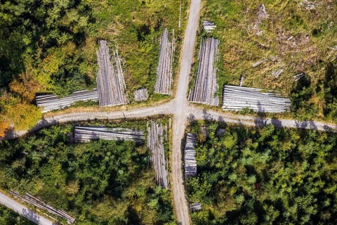 Aerial view, cleared forest areas, Waldemei, Menden, Sauerland, Märkischer Kreis, North
