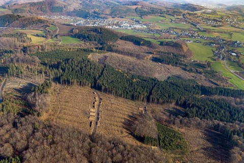 Aerial photo, forest damage, deforestation, Frenkhausen, Meschede, Sauerland, North