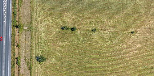 Aerial view, Mown field, Single trees, Mörs, Ruhr area, North Rhine-Westphalia, Germany, DE,