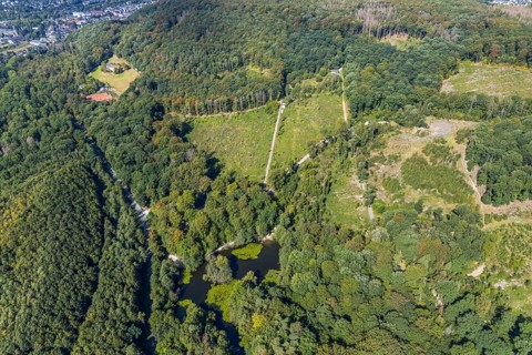 Aerial view, witches pond, cleared forest areas, Menden, Sauerland, Märkischer Kreis, North