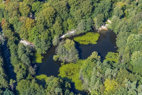 Aerial view, witches pond, cleared forest areas, Menden, Sauerland, Märkischer Kreis, North