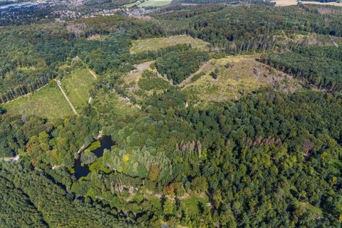 Aerial view, witches pond, cleared forest areas, Menden, Sauerland, Märkischer Kreis, North