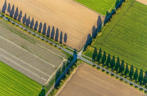 Aerial view, tree row with shadow, crossroads, Gehlenbeck, Lübbecke, Ostwestfalen-Lippe, OWL, North