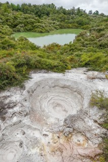 Scenery around the Geothermal Valley Te Puia in New Zealand