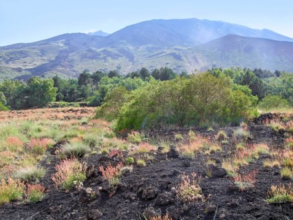Sunny illuminated natural scenery around Mount Etna in Sicily