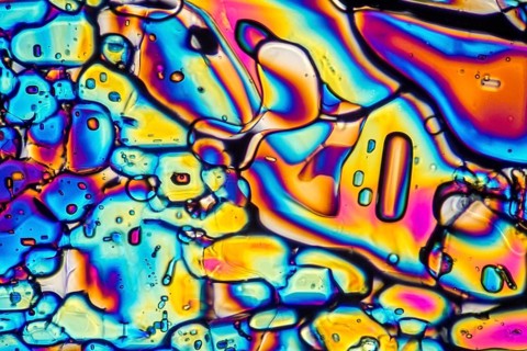 Microscopic shot showing Ammonium sulfate crystals illuminated with polarized light