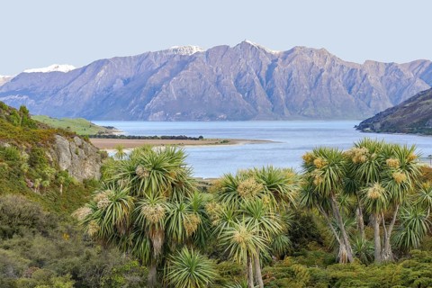 Idyllic scenery around Lake Hawea in New Zealand