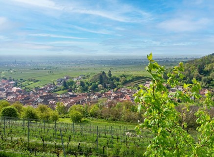 Scenery around Sankt Martin, a municipality in the Southern Wine Route area in Rhineland-Palatinate