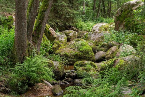 Impression at the idyllic nature reserve named Hoelle in the Bavarian Forestin Southern Germany at