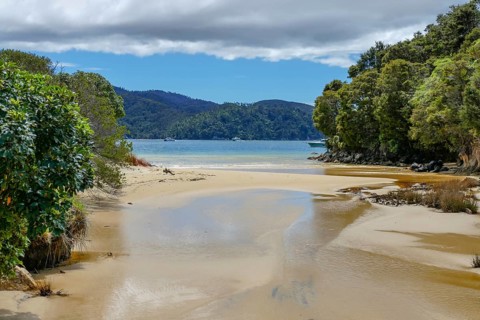 Coastal sunny scenery at the Abel Tasman National Park in New Zealand