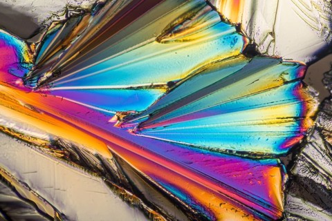 Colorful microscopic shot of sugar micro crystals in polarized light