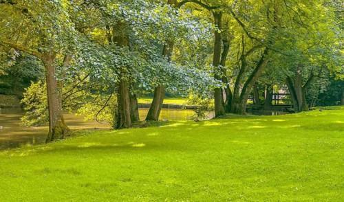Peaceful sunny park scenery with idyllic small lake at summer time