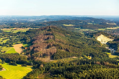 Aerial photograph, Teutoburg Forest, Gartnischberg forest area, forest dieback, Halle, East