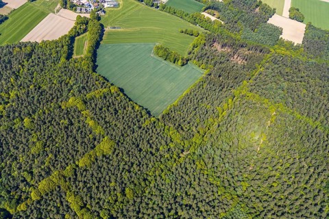 Aerial view, forest area Holtwick, mixed forest, Haltern am See, Münsterland, Ruhr area, North