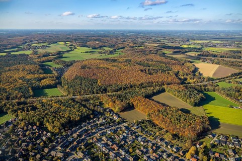 Aerial view, forest area, Holtwick, planned wind turbines, Haltern am See, Ruhr area, North