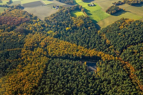 Aerial view, forest area, planned wind turbines, Bergbossendorf, Haltern am See, Ruhr area, North