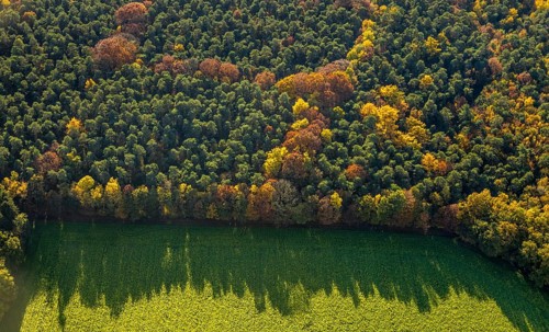 Aerial view, forest area, planned wind turbines, Bergbossendorf, Haltern am See, Ruhr area, North