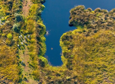 Aerial photo, Großes Torfmoor, Gehlenbeck, Hille, Lübbecke, Ostwestfalen-Lippe, OWL, North