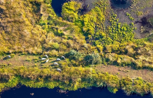Aerial photo, Großes Torfmoor, Gehlenbeck, Hille, Lübbecke, Ostwestfalen-Lippe, OWL, North
