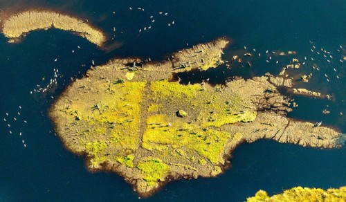 Aerial photo, Großes Torfmoor, Gehlenbeck, water areas with water birds, Hille, Lübbecke,