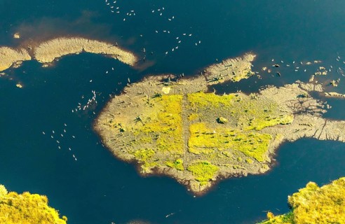 Aerial photo, Großes Torfmoor, Gehlenbeck, water areas with water birds, Hille, Lübbecke,
