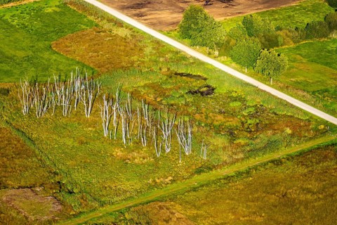 Aerial photograph, Großes Torfmoor, Gehlenbeck, dead wood, Hille, Lübbecke, Ostwestfalen-Lippe,