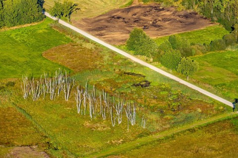 Aerial photograph, Großes Torfmoor, Gehlenbeck, dead wood, Hille, Lübbecke, Ostwestfalen-Lippe,