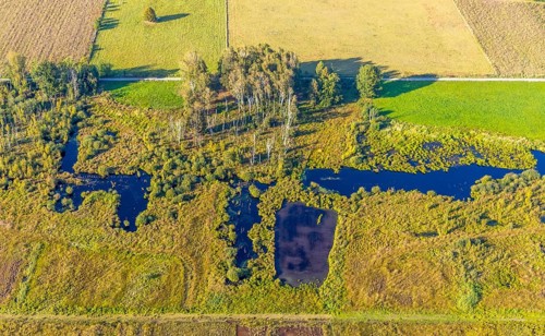 Aerial photo, Großes Torfmoor, Gehlenbeck, Hille, Lübbecke, Ostwestfalen-Lippe, OWL, North