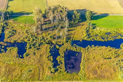 Aerial photo, Großes Torfmoor, Gehlenbeck, Hille, Lübbecke, Ostwestfalen-Lippe, OWL, North