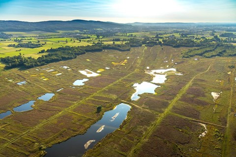Aerial photo, Großes Torfmoor, Gehlenbeck, Hille, Lübbecke, Ostwestfalen-Lippe, OWL, North
