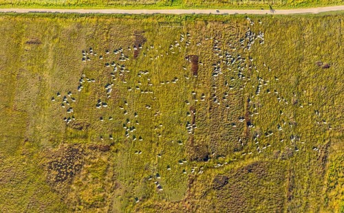 Aerial photo, Großes Torfmoor, Gehlenbeck, Hille, Lübbecke, Ostwestfalen-Lippe, OWL, North