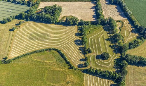 Aerial view, hay harvest, fields south of Pelkum, pattern in nature, Hamm, Ruhr area, North