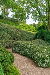 Idyllic garden scenery with green trees, bushes and hedges at summer time seen in Normandy, France