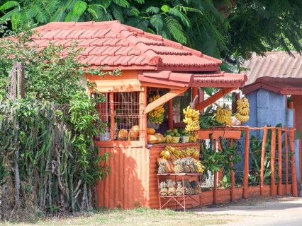 Sunny illuminated fruit stand in Cuba, a island in the Caribbean Sea