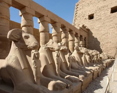 Sunny illuminated scenery with lots of sphinxes at the Precinct of Amun-Re in Egypt (Africa)