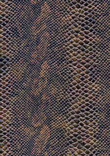 Full frame scaled abstract brown patterned reptile skin surface