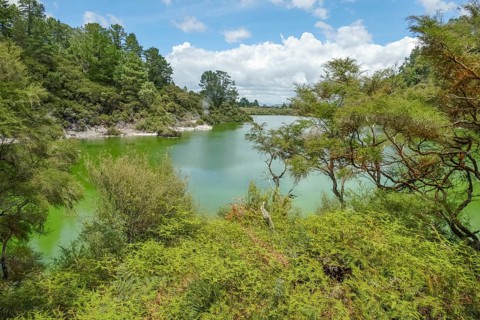 Geothermal area named Waiotapu in New Zealand