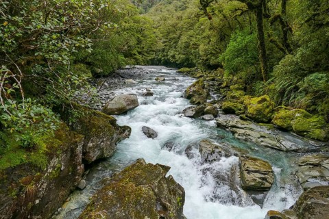 Natural scenery around the Chasm Falls at Cleddau River at the South Island of New Zealand