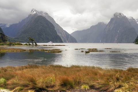 Natural scenery around Milford Sound at the South Island of New Zealand