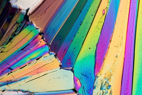 Colorful micro crystals of liqueur in polarized light