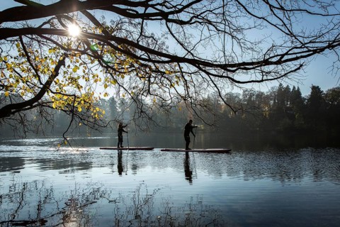 DEU Germany Germany Berlin Standup paddler (SUP) on the Krumme Lanke